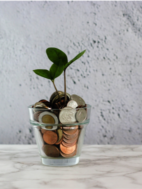 Pfanze wächst aus Glas, das mit Geld gefüllt ist.